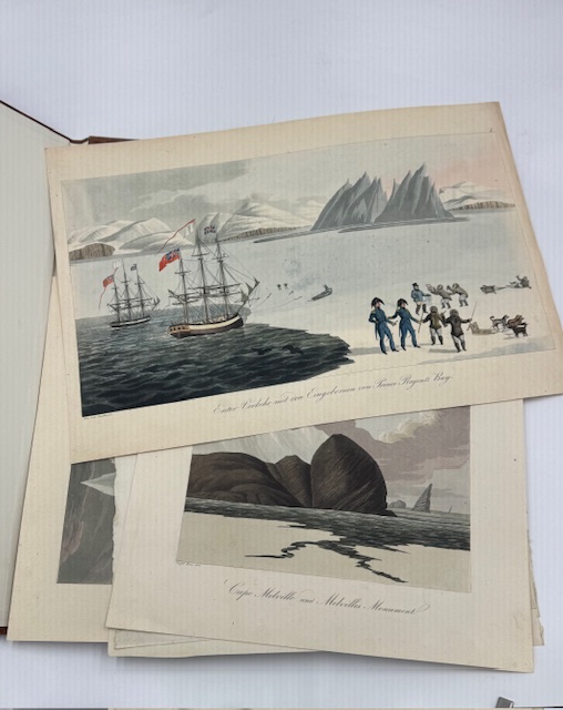 New Arrivals - Arktis